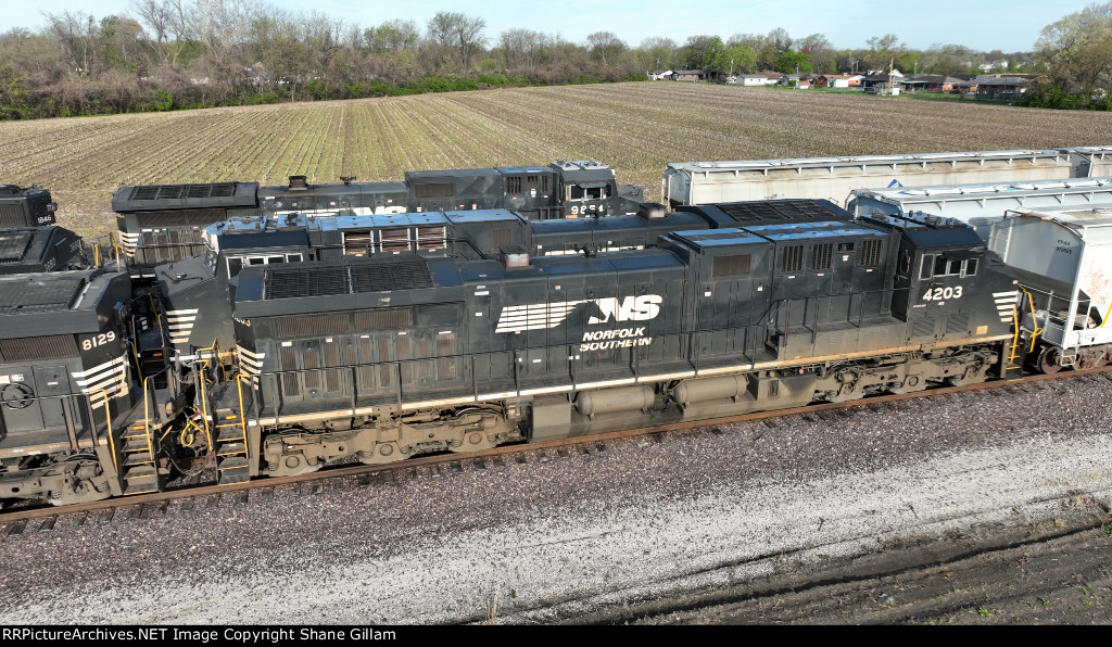 NS 4203